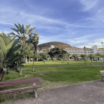 zona de recreo, juego, perros y futbol en el parque para niños en los cristianos tenerife